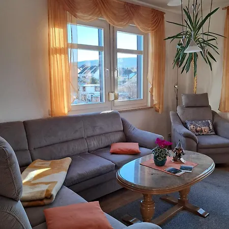 Panoramablick Eibenstock